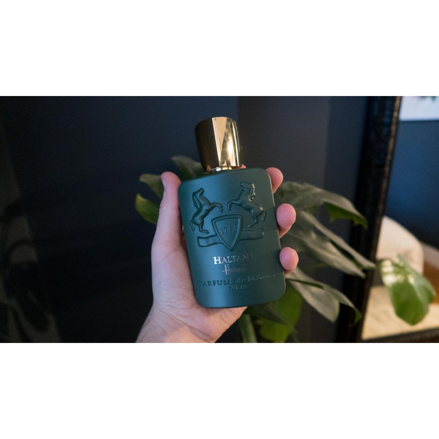 DE MARLY EDP HALTANE for men