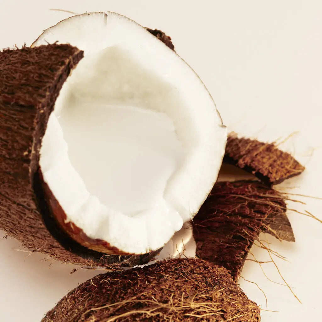 Maldives in a Bottle Ylang Coco | 20